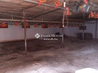 Eladó ipari ingatlan, Nyáregyházán 310 M Ft