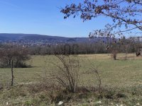 Eladó mezogazdasagi ingatlan, II. kerületben 25 M Ft