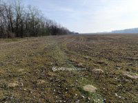 Eladó mezogazdasagi ingatlan