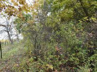 Eladó telek, Pécselyen 24.99 M Ft / költözzbe.hu