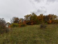 Eladó telek, Pécselyen 24.99 M Ft / költözzbe.hu