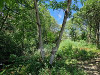 Eladó telek, Szegeden 25.5 M Ft / költözzbe.hu