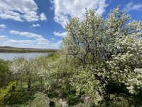 Eladó családi ház, Biatorbágyon 215 M Ft, 2+2 szobás