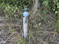 Eladó telek, XVII. kerületben 74.9 M Ft / költözzbe.hu