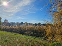 Eladó telek, Győrött 199 M Ft / költözzbe.hu