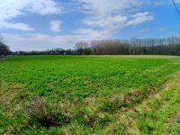 Eladó mezogazdasagi ingatlan, Nemesgulácson 23.89 M Ft