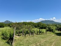 Eladó nyaraló, Hegymagason 44.9 M Ft, 1 szobás