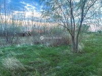 Eladó telek, Bugyin 160 M Ft / költözzbe.hu