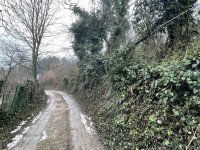 Eladó mezogazdasagi ingatlan