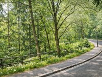 Eladó telek, XII. kerületben 680 M Ft / költözzbe.hu