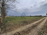 Eladó mezogazdasagi ingatlan, Cegléden 11.9 M Ft