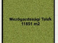 Eladó mezogazdasagi ingatlan, Zsombón 2.8 M Ft