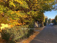 Eladó családi ház, XXIII. kerületben 177 M Ft, 6 szobás