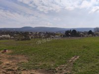 Eladó telek, Budakeszin 120 M Ft / költözzbe.hu