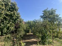 Eladó családi ház, Monoron, Vörösmarty utcában 56.5 M Ft