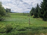 Eladó telek, Bakonybélben 33 M Ft / költözzbe.hu