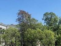 Eladó téglalakás, V. kerületben 94.9 M Ft, 1+1 szobás