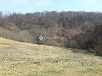 Eladó mezogazdasagi ingatlan, Alsónemesapátiban 55 M Ft