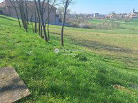 Eladó telek, Magyaralmáson 12 M Ft / költözzbe.hu