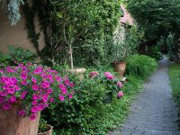 Kiadó családi ház, albérlet, Kecskeméten 800 E Ft / hó