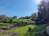 Eladó telek, Zalaegerszegen 8 M Ft / költözzbe.hu