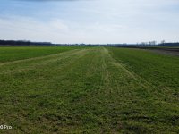 Eladó mezogazdasagi ingatlan, Vasadon 10.3 M Ft