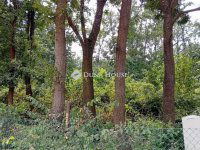 Eladó telek, Érden 59.9 M Ft / költözzbe.hu