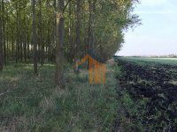 Eladó mezogazdasagi ingatlan, Sarkadkeresztúron 10.9 M Ft