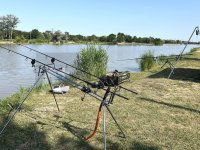 Eladó mezogazdasagi ingatlan, Szegeden 230 M Ft