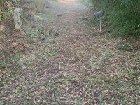 Eladó ipari ingatlan