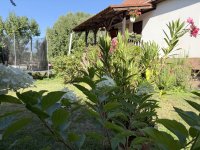 Eladó családi ház, Nagytarcsán 124.9 M Ft, 4 szobás