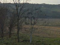 Eladó telek, Nagykutason 2.9 M Ft / költözzbe.hu