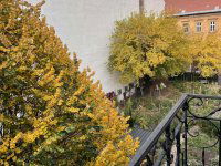 Kiadó téglalakás, albérlet