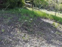 Eladó telek, Zalaegerszegen 8 M Ft / költözzbe.hu