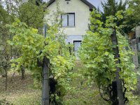 Eladó családi ház, Pilisvörösváron 49.9 M Ft, 2 szobás