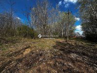 Eladó mezogazdasagi ingatlan, Dabason 120 M Ft