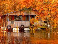 Eladó családi ház, XI. kerületben 20 M Ft, 1 szobás