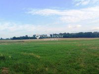 Eladó mezogazdasagi ingatlan, Fóton 58 M Ft / költözzbe.hu