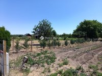 Eladó mezogazdasagi ingatlan, Szegeden 8.5 M Ft