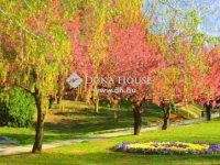 Eladó családi ház, Zalakaroson 157 M Ft, 5+1 szobás