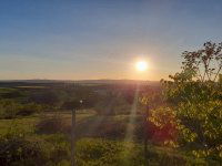 Eladó mezogazdasagi ingatlan, Bicskén 15.5 M Ft