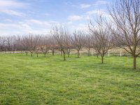 Eladó mezogazdasagi ingatlan