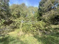 Eladó telek, Kőszegen 7.9 M Ft / költözzbe.hu