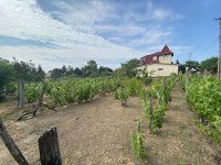 Eladó családi ház, Dunakeszin 99.9 M Ft, 2 szobás