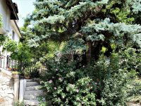 Eladó családi ház, II. kerületben 419 M Ft, 6 szobás