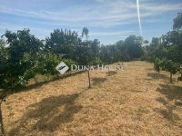 Eladó családi ház, XXII. kerületben 54.9 M Ft, 3 szobás