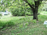 Eladó telek, III. kerületben 270 M Ft / költözzbe.hu