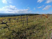 Eladó telek, Harkán 4.4 M Ft / költözzbe.hu