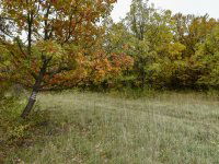 Eladó telek, Pécselyen 19.99 M Ft / költözzbe.hu