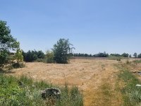 Eladó mezogazdasagi ingatlan, Gárdonyban 650 M Ft